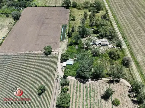 APTO LOTEO  EN VENTA 4 HAS ZONA CAMINO 60 CUADRAS