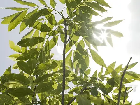 Terreno Lote  en Venta en El Aljibe, Pilar, G.B.A. Zona Norte