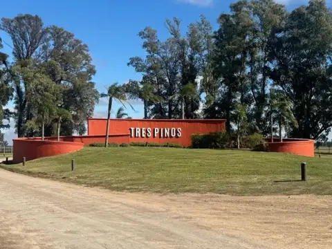 Ruta 6