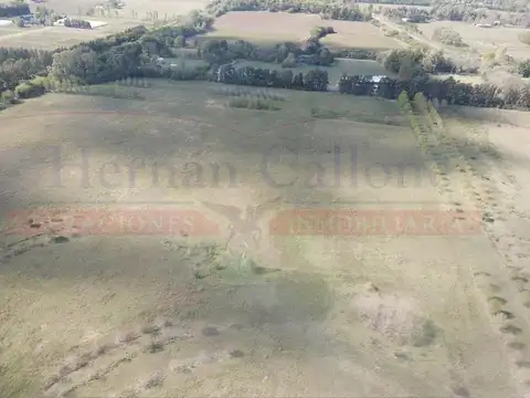 EXCELENTE CAMPO DE 17 HAS EN OPEN DOOR