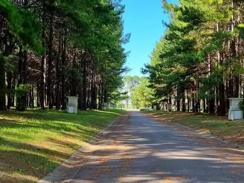 Terreno en Venta de 1535,0 m2