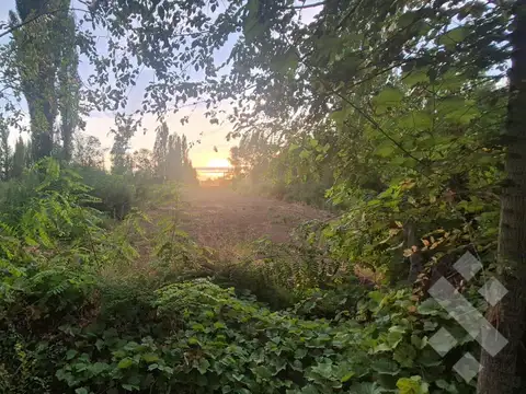 Terreno en Venta 24  mts Fondo