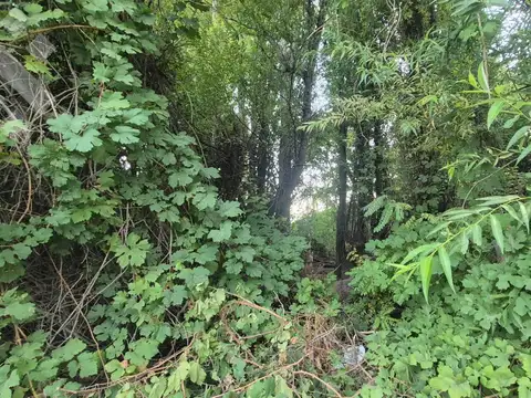 Terreno en Venta en Confluencia, USD 42.000