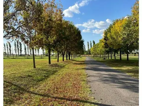 Lote en Haras de Funes Club de Campo (Nº 155)
