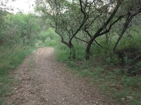 Terreno con escritura en salsipuedes
