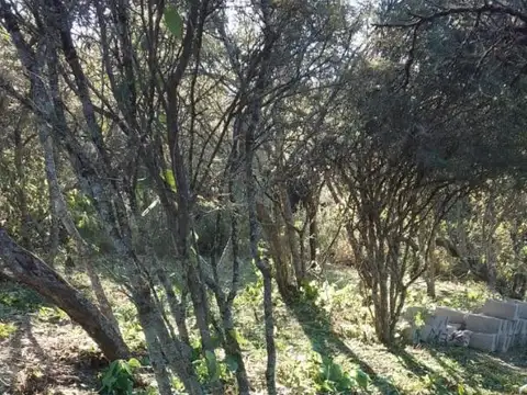 Terreno en Venta de 900,0 m2
