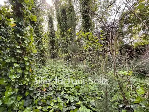 Terreno en Venta 38  mts Fondo