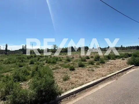 VENTA TERRENO | LOTEO CABEZA | CENTENARIO