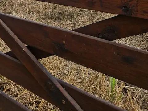 Camino Rural