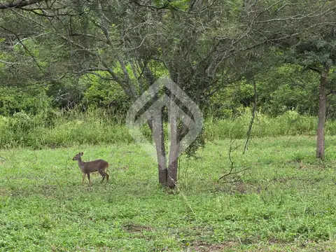 Finca en venta de 39 ha. en Las Higuerillas, RN 9, Autopista acceso a Salta