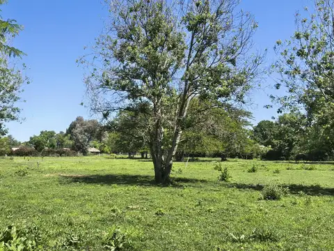 Terreno en Venta de 945,0 m2