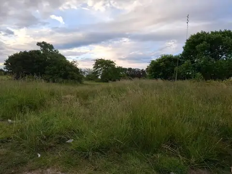 Balcarce Y Ruta 11