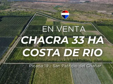 VENTA CHACRA 33,72 HTAS EN PRODUCCION 