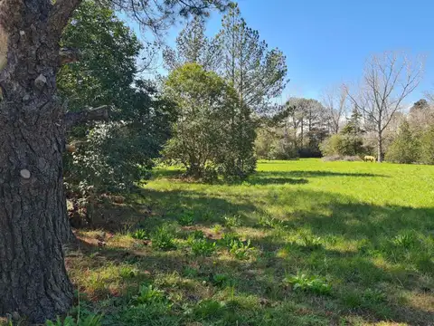 Venta Terreno 10000 metros