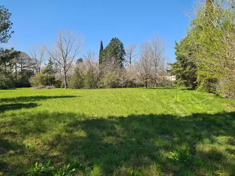 Conde Fernández 100