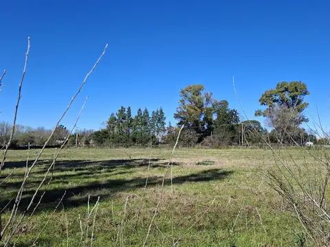 Terreno en Venta 100  mts Fondo