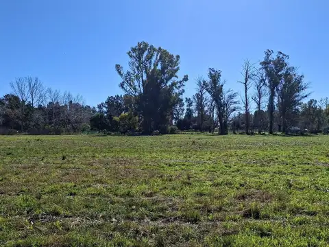 Terreno en Venta de 4200,0 m2