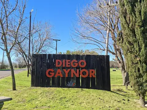 Excelentes terrenos en venta en  el corazón de Diego Gaynor