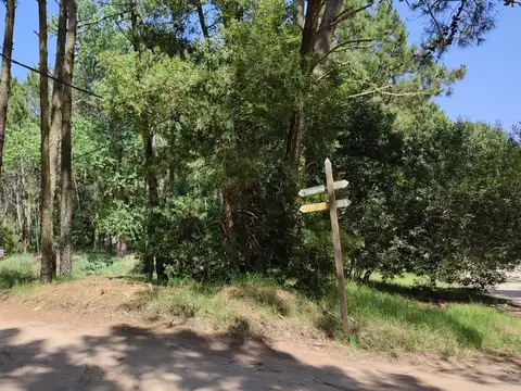 Terreno en Venta 30  mts Fondo