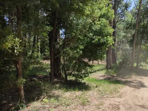 Terreno en Venta 45  mts Frente