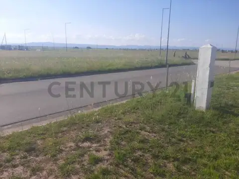 Terreno en Venta 12  mts Frente