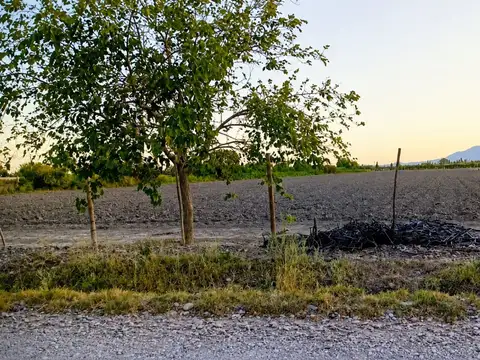Terreno en Venta de 13452,0 m2