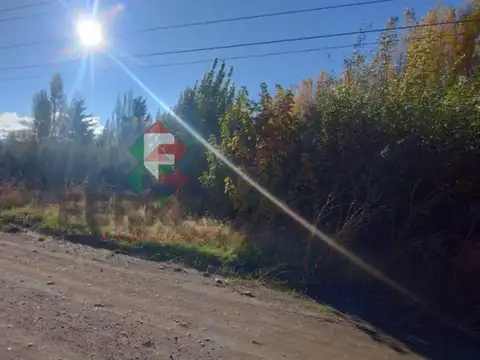 Lancha Patagonia