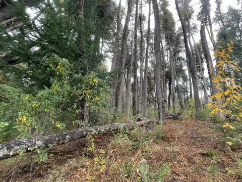 Terreno en Venta de 1246,0 m2