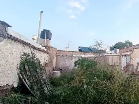 luis maria Drago 100