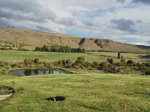 Ruta Nacional 259 100