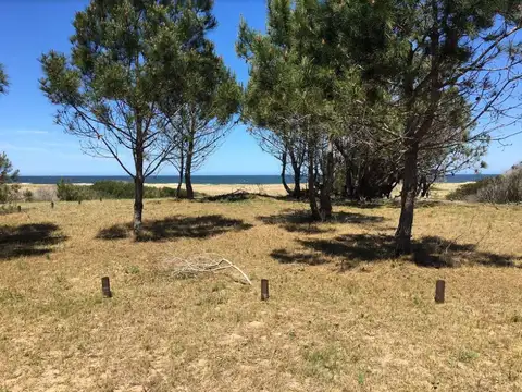 RUTA 10 100