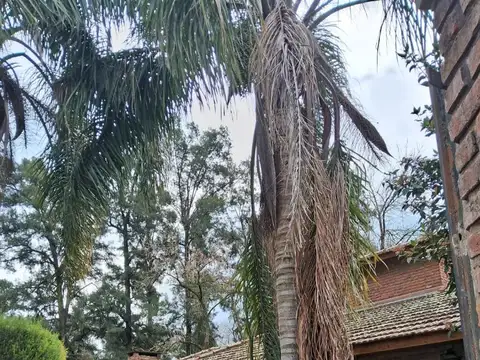 Quinta En La Lonja M139v