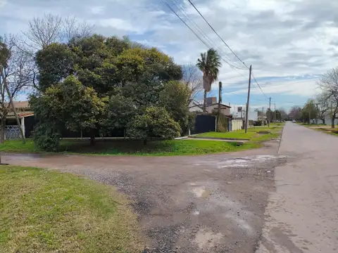 LOS ROBLES 307