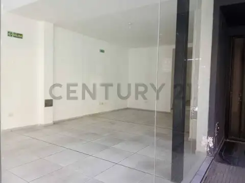 Brasil 100
