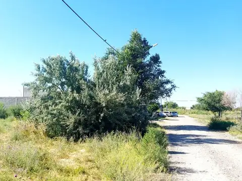 Terreno en Venta de 284,0 m2