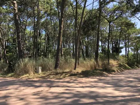 Terreno en Venta de 1000,0 m2