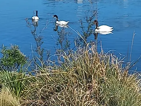 Terreno Lote  en Venta en Vistas, Puertos, Escobar