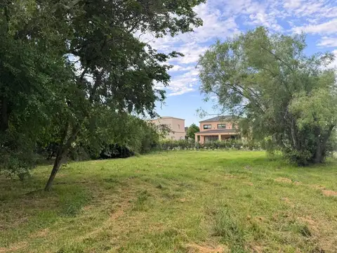 Terreno en Venta de 787,0 m2