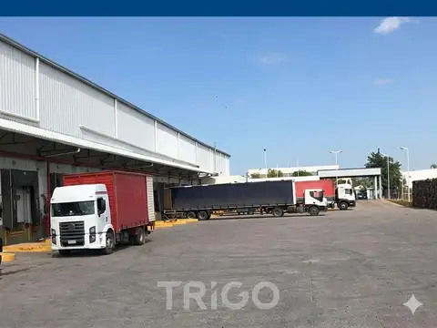Depósito nave galpon en alquiler en Garín, Escobar, Panamericana