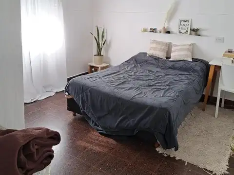 Mariquita Thompson 981