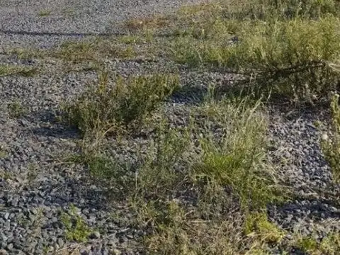 Terreno en Venta en Joaquin Gorina, USD 13.000