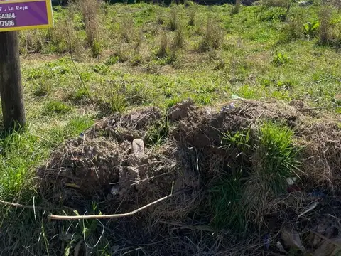 Terreno en Venta 20  mts Fondo