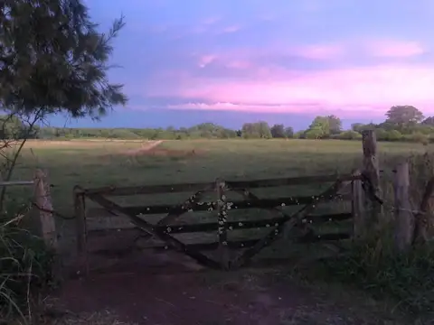 Campo en Alquiler en Pilar - Ruta 34 - Asociación Argentina de Polo