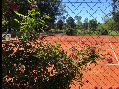 Campo - A.A.P.