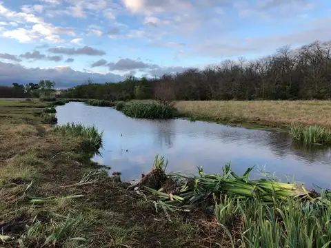 Campo en Alquiler en Pilar - Ruta 34 - Asociación Argentina de Polo
