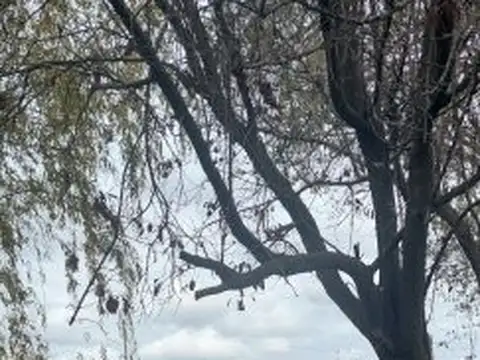 VENTA DE CASA EN CASTILLA - PARTIDO DE CHACABUCO - BS AS