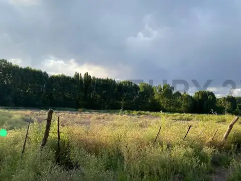 Terreno en Venta de 4008,0 m2