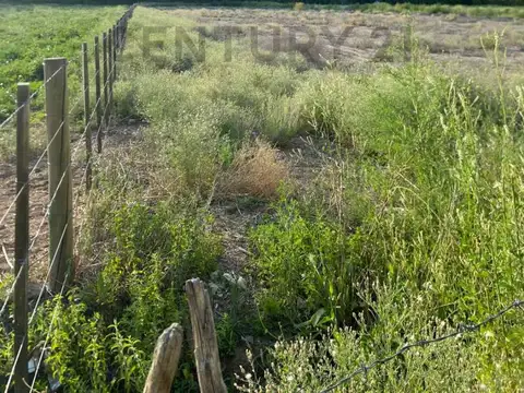 Terreno en Venta 20,95  mts Frente