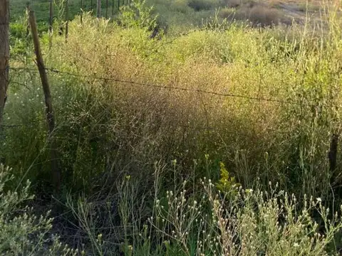 Terreno en Venta en Estación Uspallata, USD 38.000