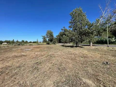 LOTE EN VENTA COLONIA SEGOVIA APTO LOTEO